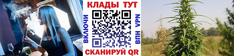 Наркошоп купить Марихуана  Альфа ПВП  АМФ  Меф  Приозерск