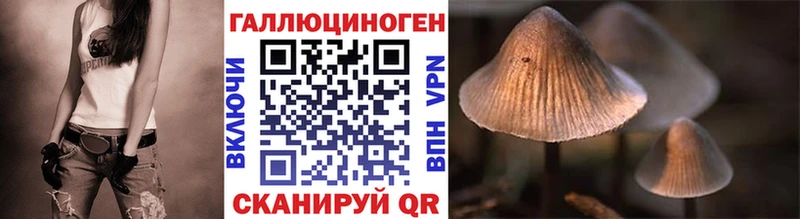 Галлюциногенные грибы Psilocybine cubensis  Купить  Приозерск 