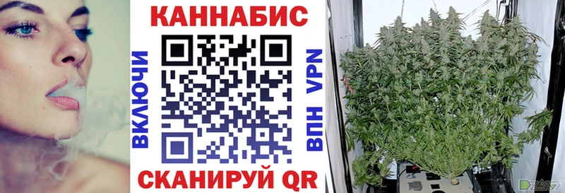 Купить где  Приозерск  Конопля индика 